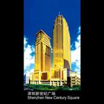 ���������͹㳡