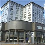 �Ϻ��ϴ�����