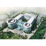 �¹������й���������