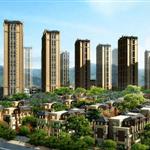 ��ݸ��ƻ���۪��